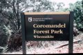 Image012 Coromandel Forest Park
